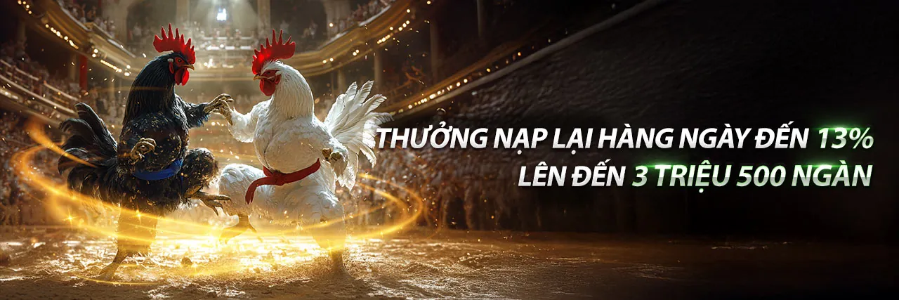 Đá Gà Trực Tuyến kịch tính tại lg88 trang chủ chính thức